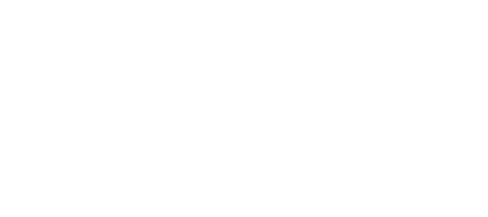 NewFi