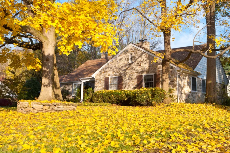 7 Home Maintenance Tasks for Autumn (and One to Put Off Until Next Year)