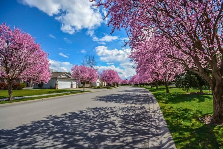 Five Spring Home Maintenance Tasks for New Homeowners