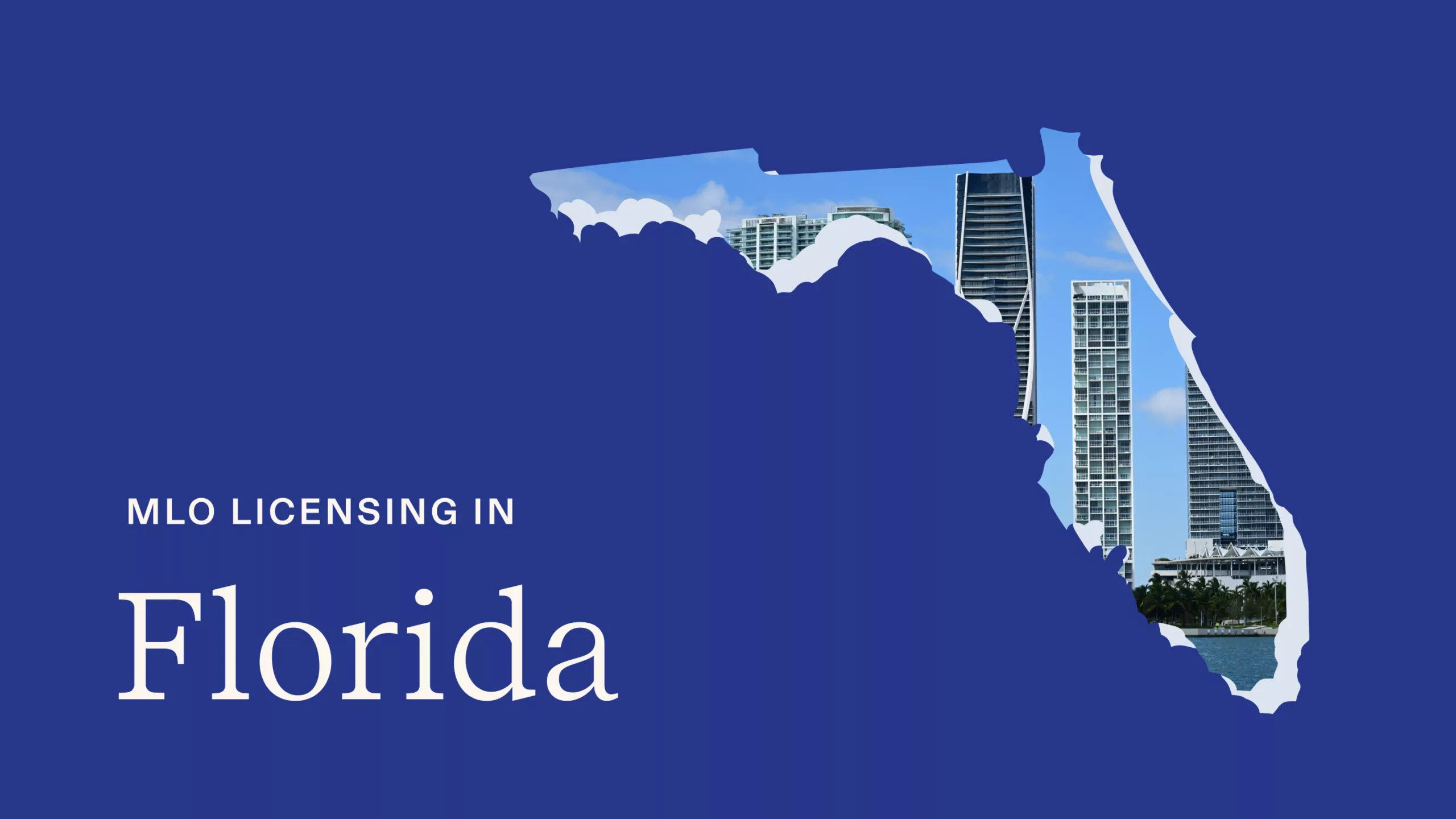 illustration of the state of Florida